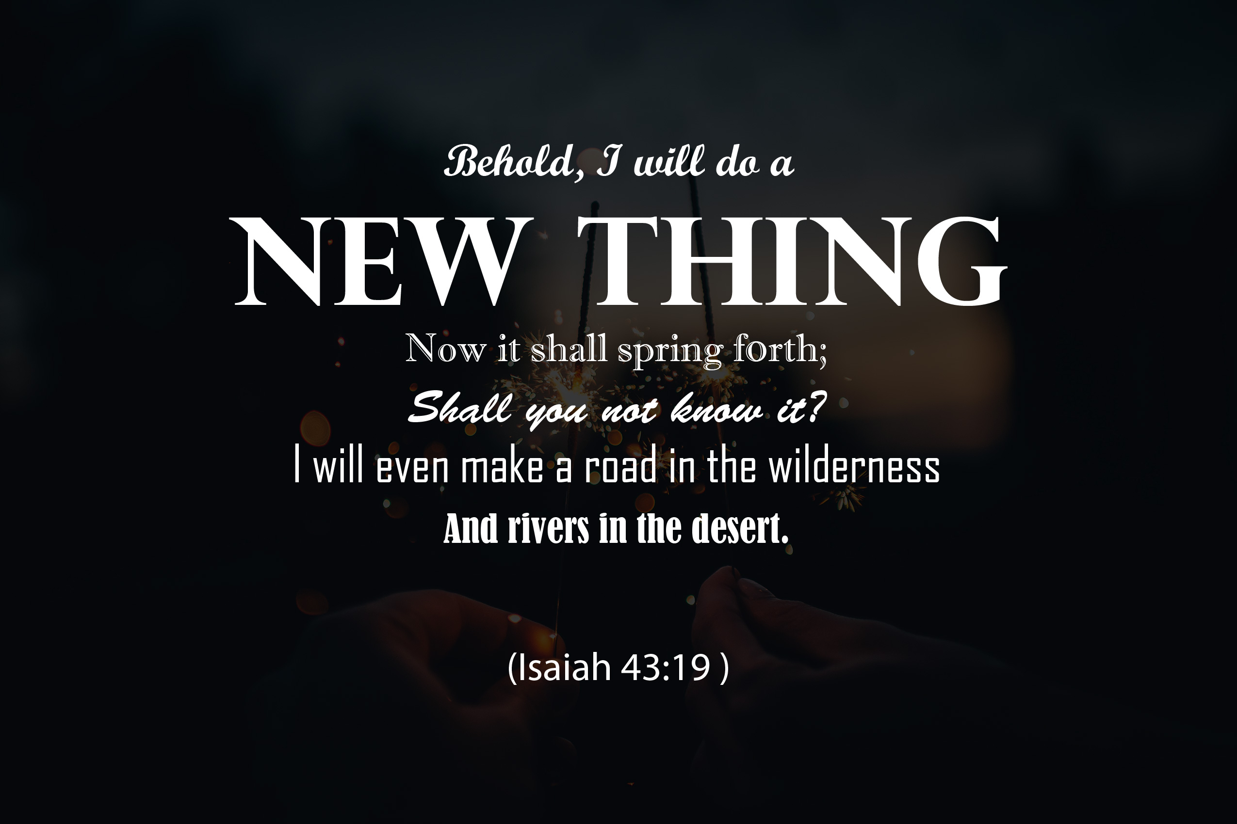 embracing-the-new-in-the-new-year